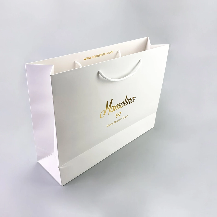 Custom Paper Bags with Handle 3