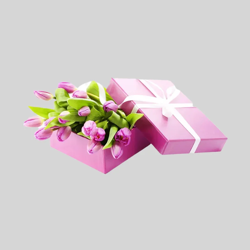 Flower Boxes 3