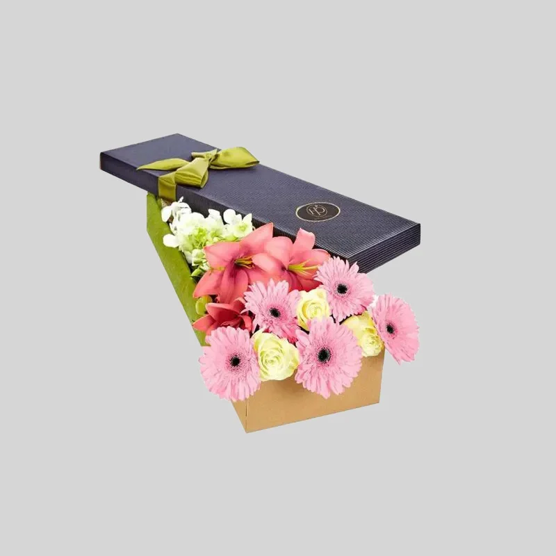 Flower Boxes 2
