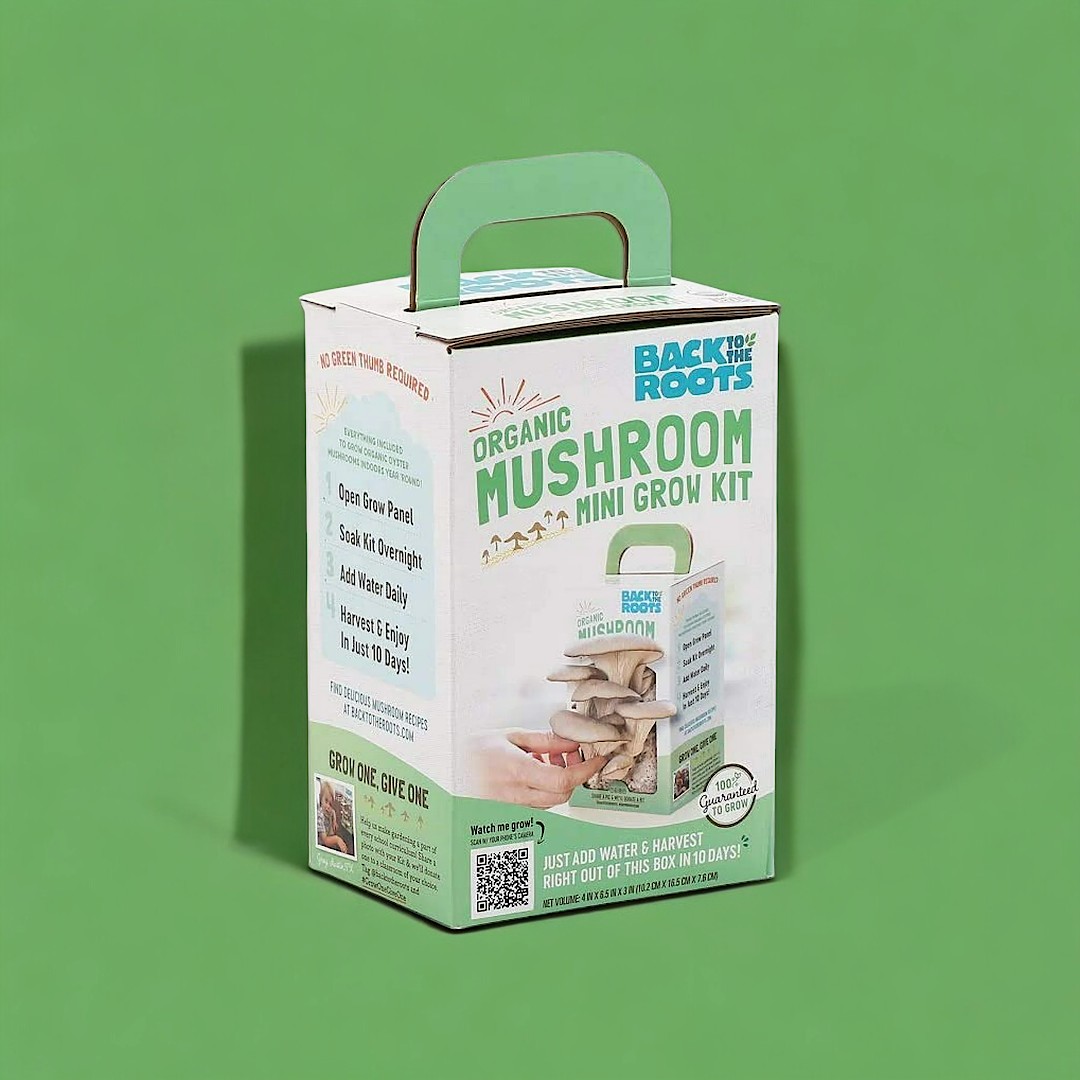 Edible Fungi Boxes 2