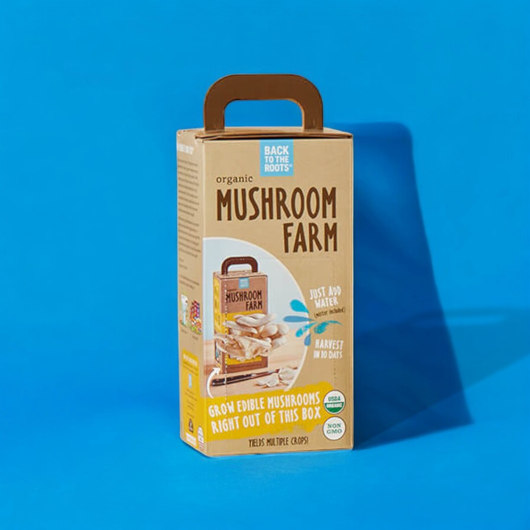 Edible Fungi Boxes 4